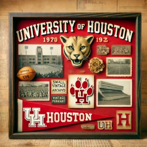 Vintage University of Houston Shadow Box